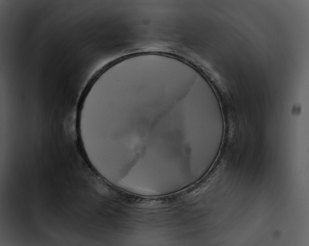 X0000102841174200809081212