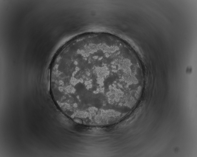 X0000102841175200809081212