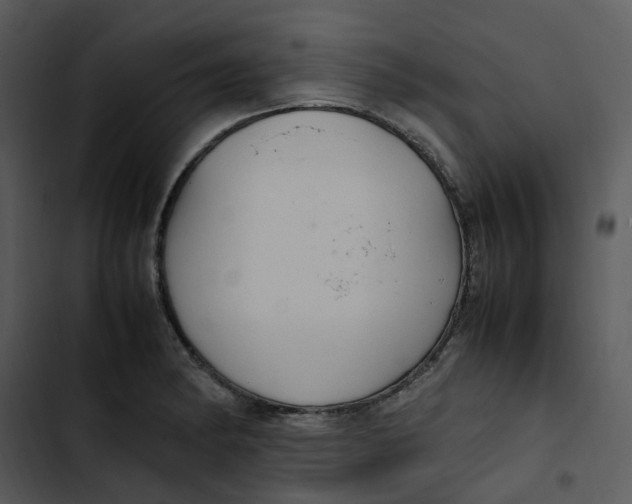 X0000102841182200809081212