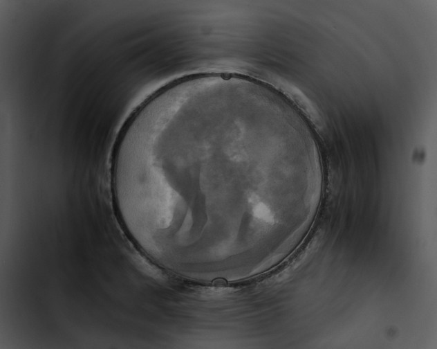 X0000102841184200809081212