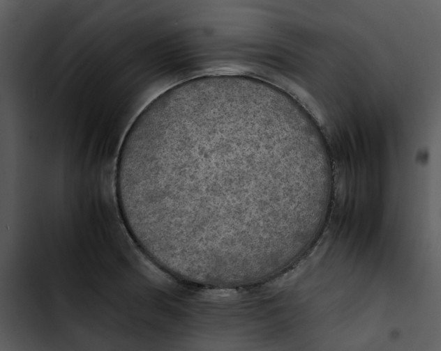 X0000102841186200809081212