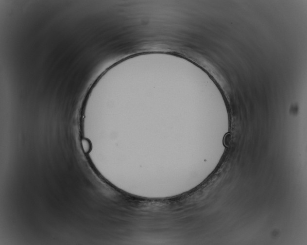 X0000102841187200809081212