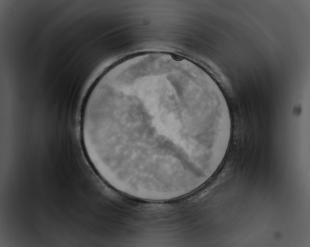 X0000102841188200809081212