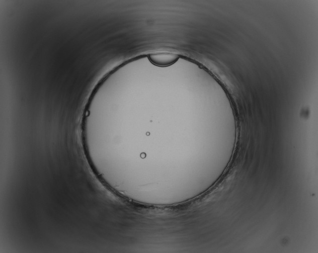 X0000102841189200809081212