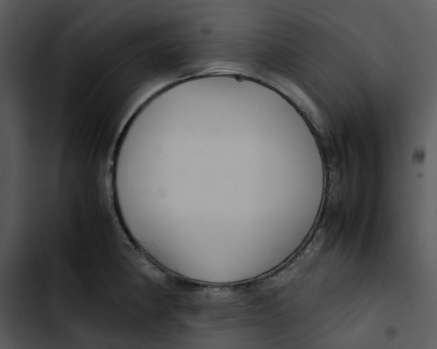 X0000102841190200809081212