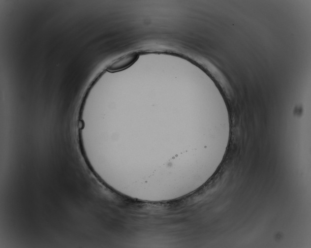 X0000102841191200809081212