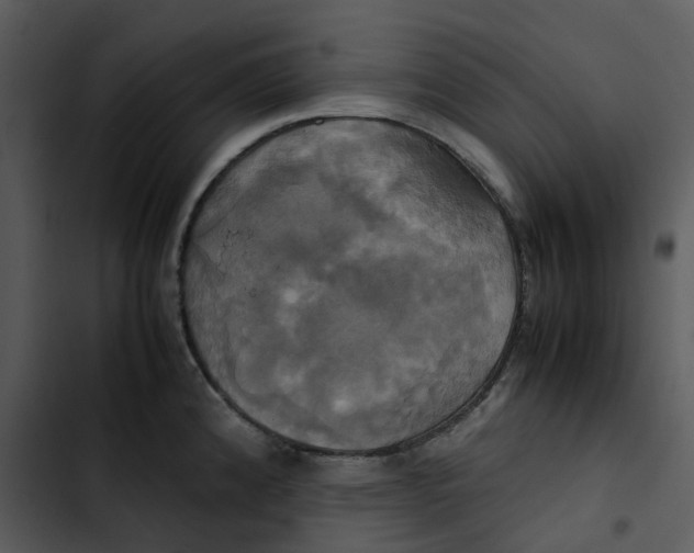 X0000102841192200809081212