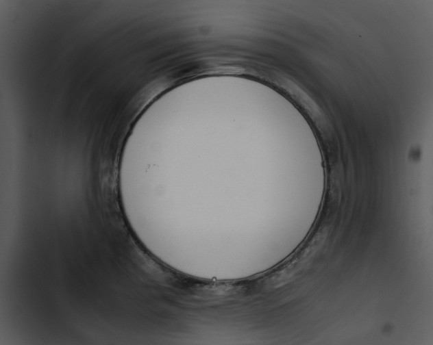 X0000102841193200809081212