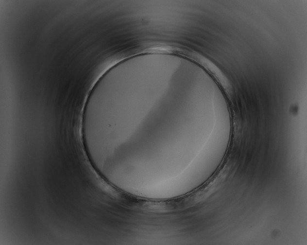 X0000102841194200809081212