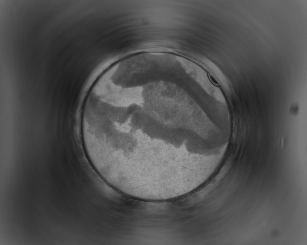 X0000102841196200809081212