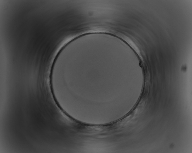 X0000102841197200809081212