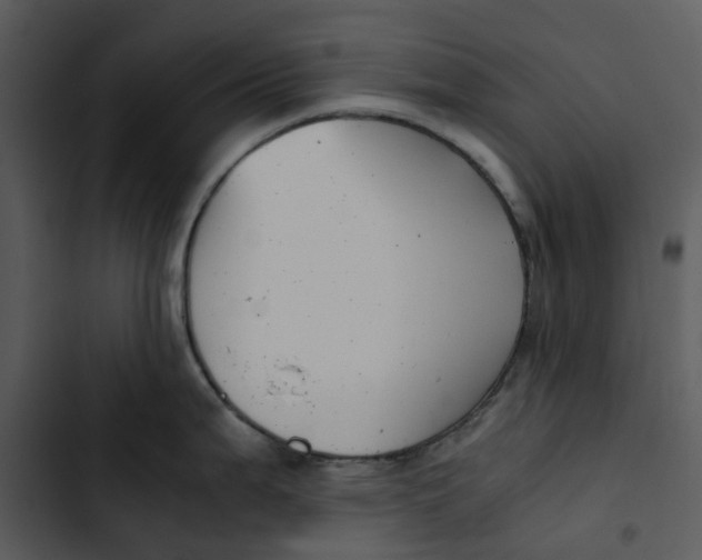 X0000102841199200809081212