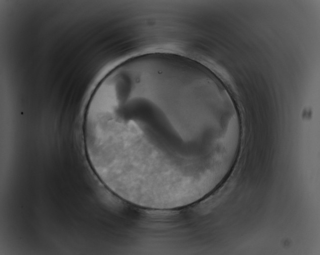 X0000102841200200809081212