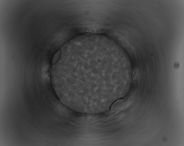 X0000102841202200809081211