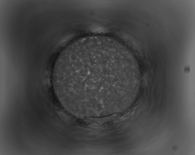 X0000102841205200809081211