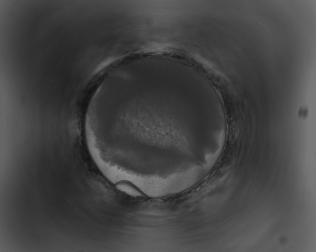 X0000102841206200809081212