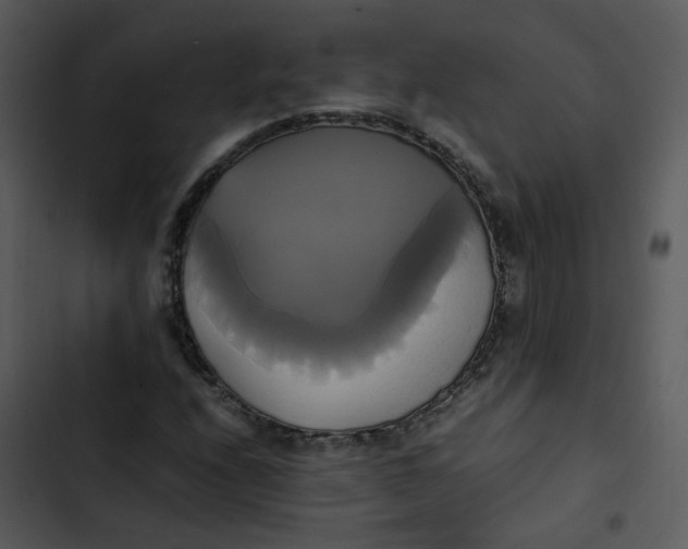 X0000102841208200809081212