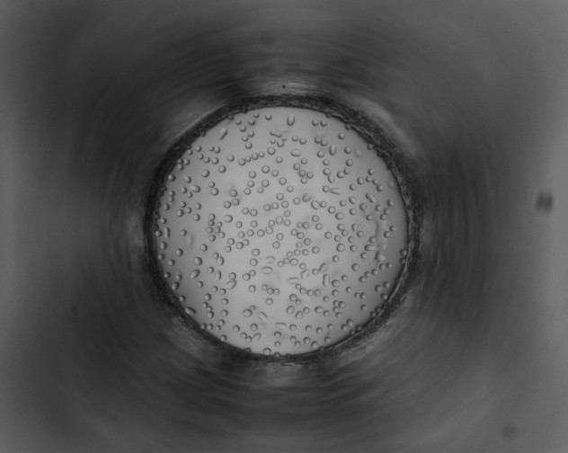 X0000102841209200809081212