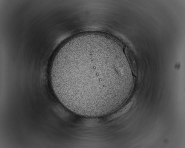 X0000102841210200809081212