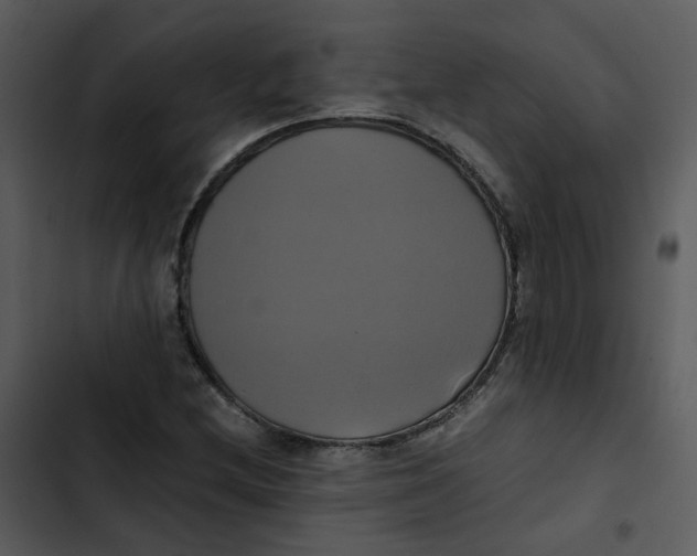 X0000102841212200809081212