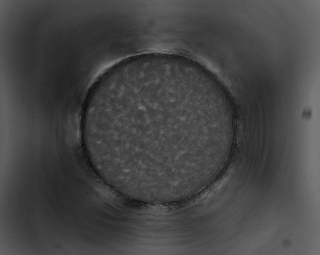 X0000102841214200809081212