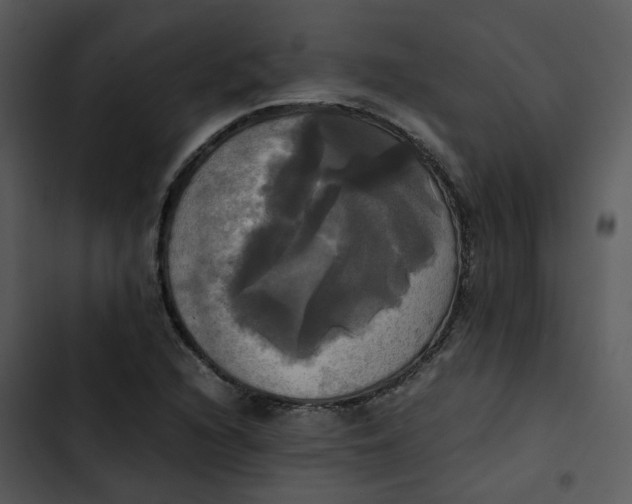 X0000102841216200809081212