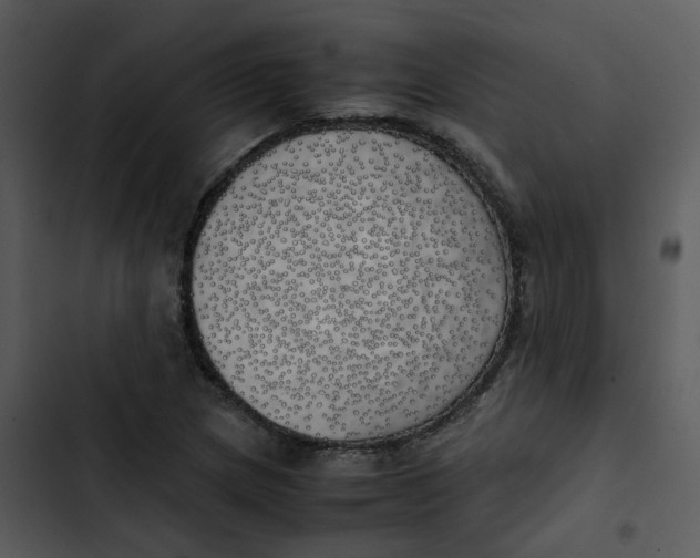 X0000102841217200809081212