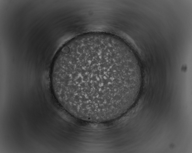 X0000102841218200809081212