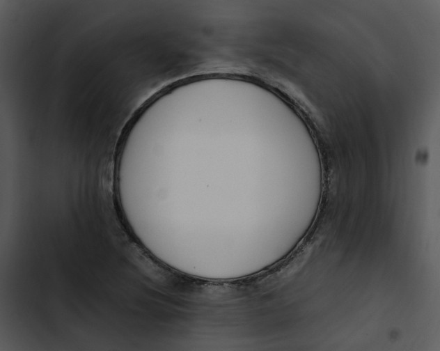 X0000102841220200809081212