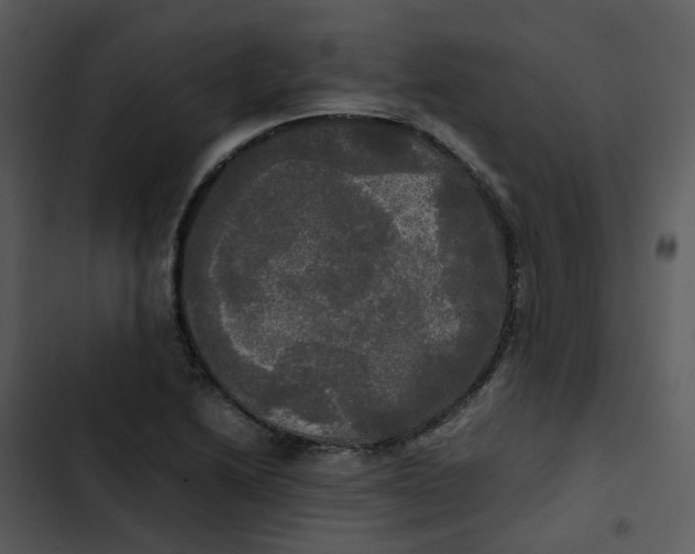 X0000102841222200809081212