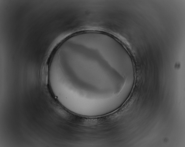 X0000102841223200809081212