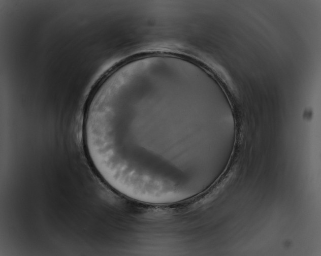 X0000102841224200809081212