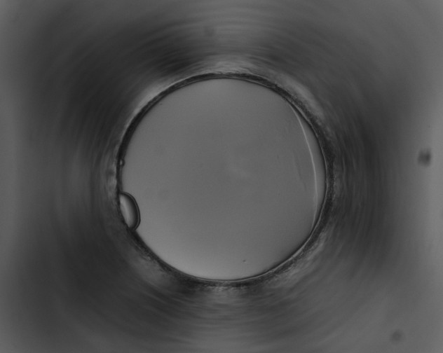 X0000102841226200809081212