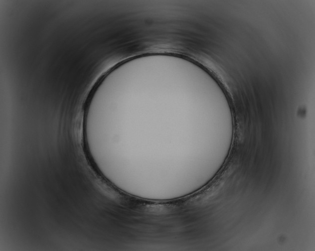 X0000102841227200809081212