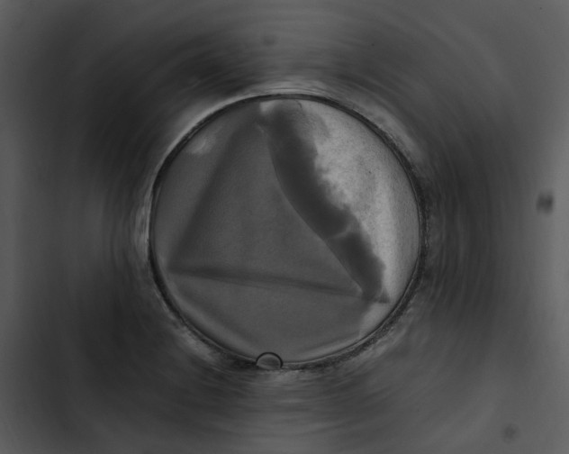 X0000102841228200809081212