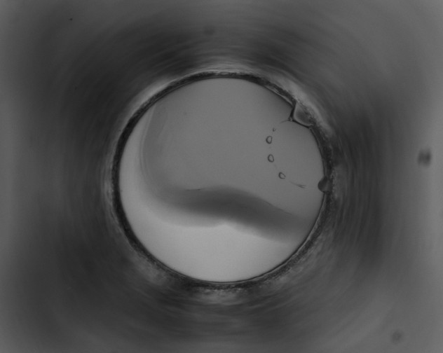 X0000102841229200809081212