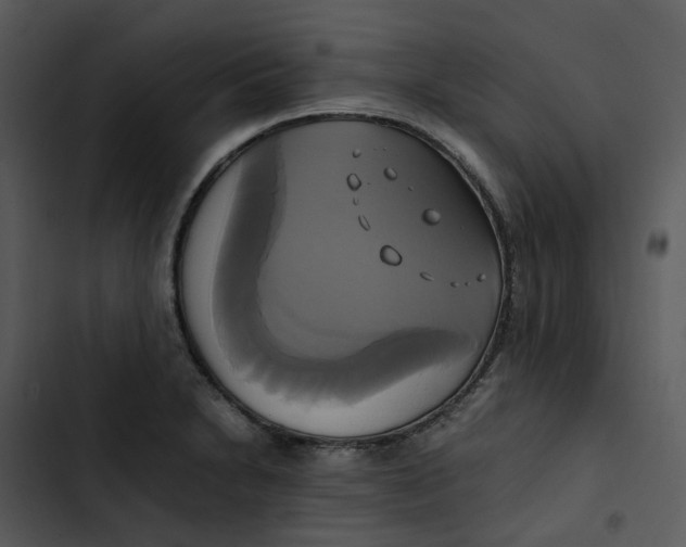 X0000102841230200809081212