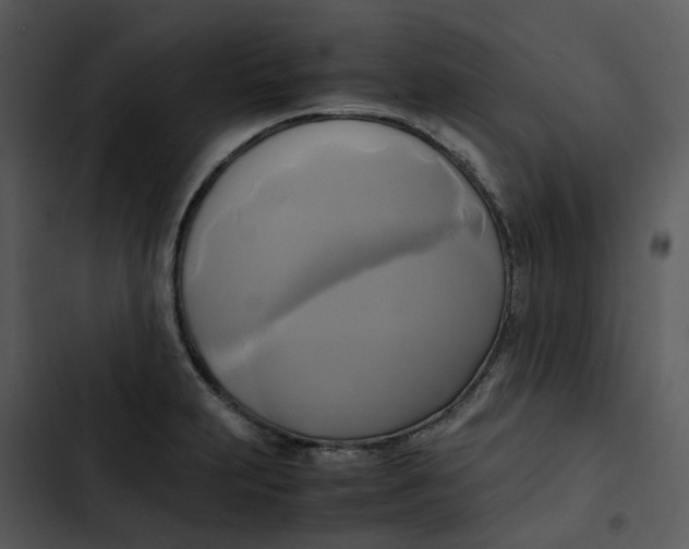 X0000102841231200809081212