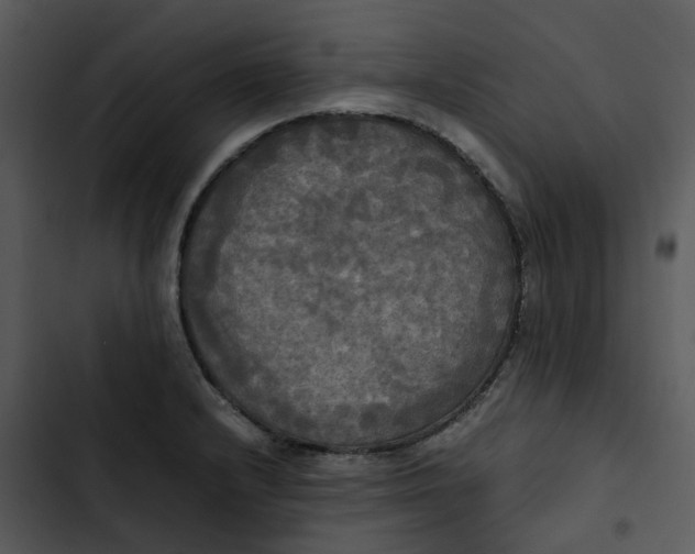 X0000102841232200809081212