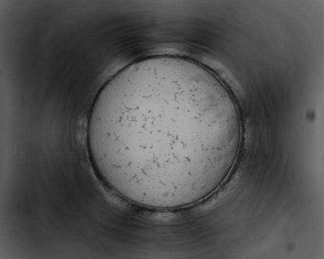 X0000102841233200809081212