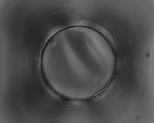 X0000102841234200809081212