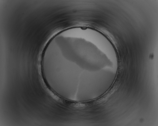 X0000102841235200809081212