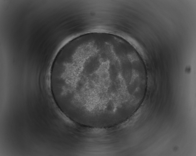 X0000102841238200809081212