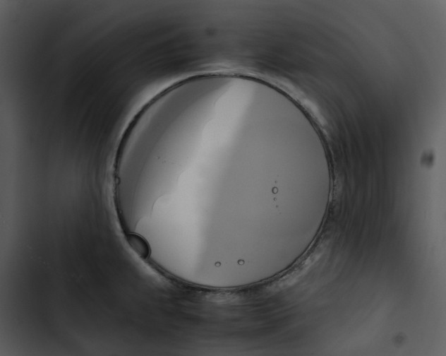 X0000102841239200809081212