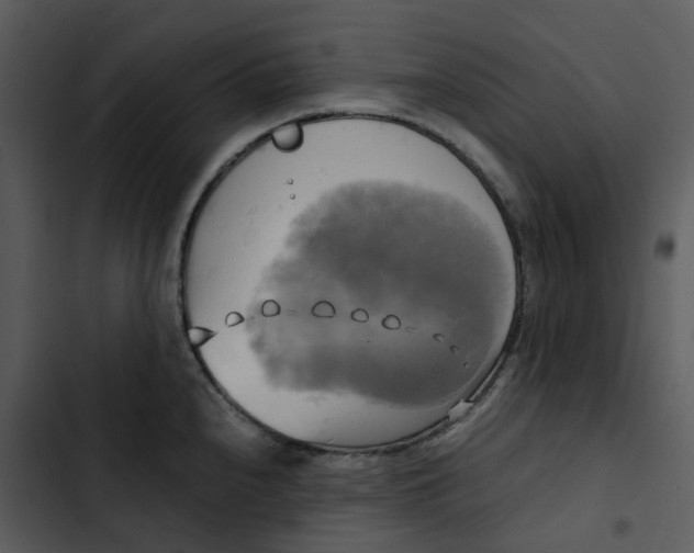 X0000102841240200809081212