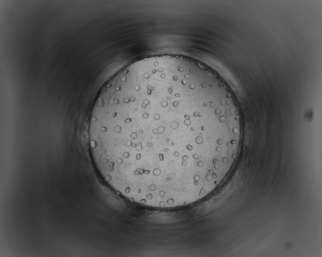 X0000102841241200809081212