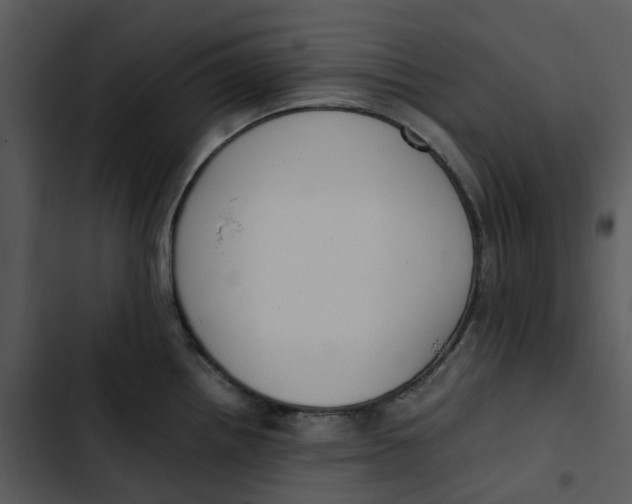 X0000102841242200809081212