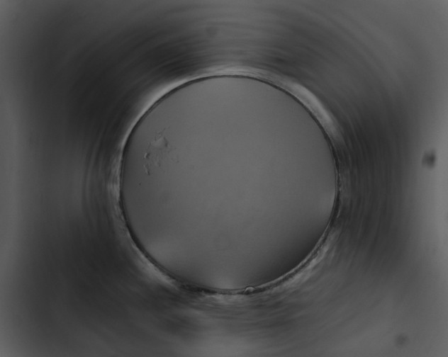 X0000102841244200809081212