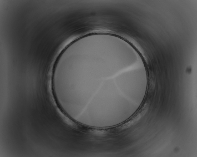 X0000102841245200809081212