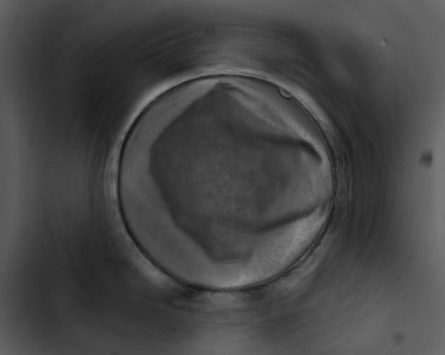 X0000102841246200809081212